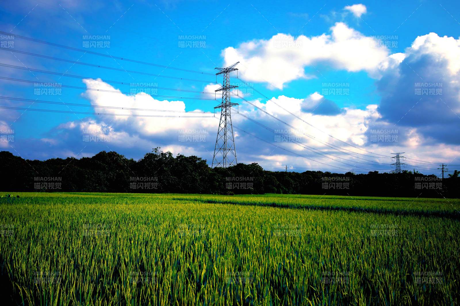 田野上的電力塔