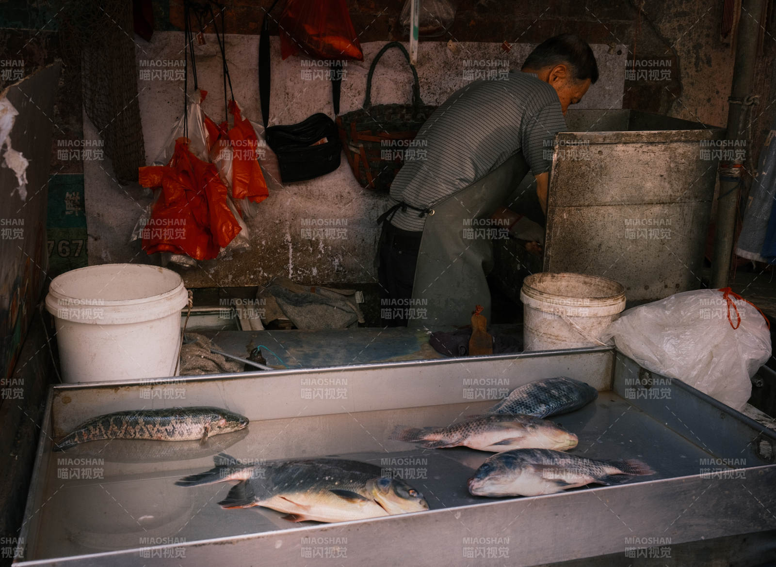 市場魚攤 商販忙碌中