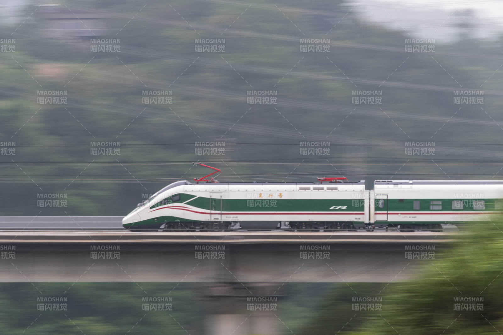 高速列車穿越綠色山林