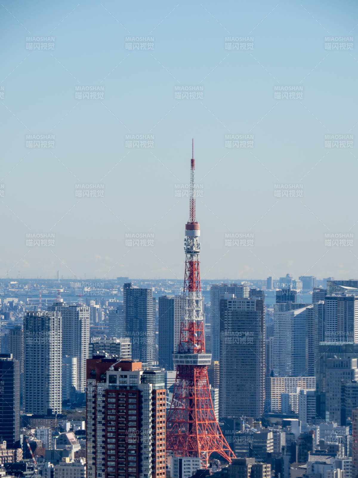 東京塔與城市天際線