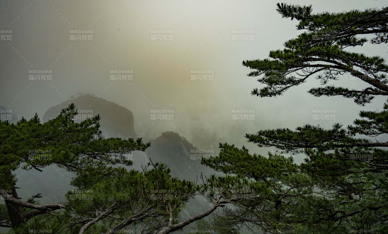 霧中松影 山巒隱現(xiàn)