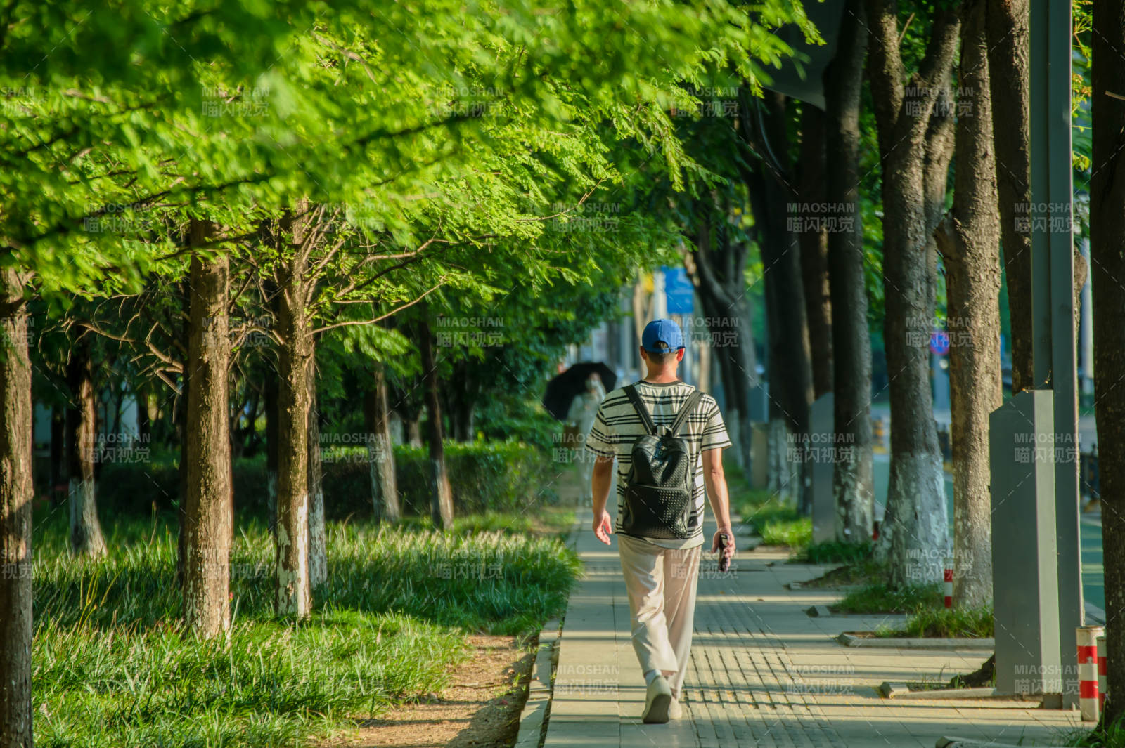 綠蔭小徑 行人悠然自得