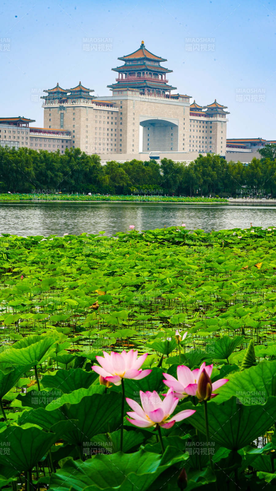 北京蓮花池公園和北京西客站