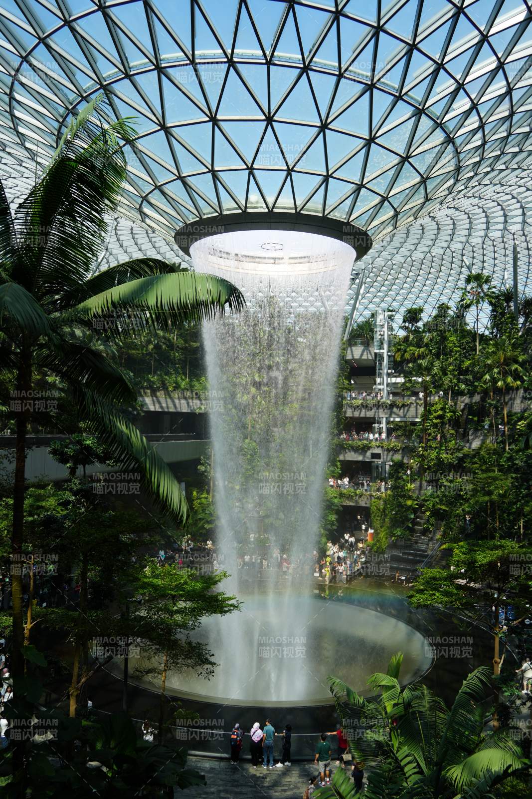 室內瀑布與熱帶植物園--新加坡