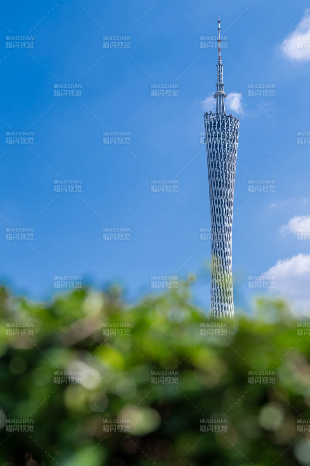 廣州塔藍天綠植映襯