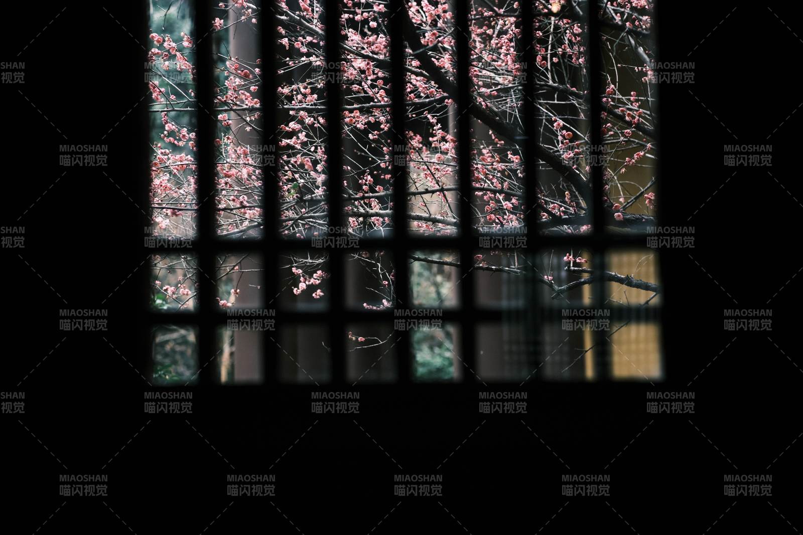 窗欞外的梅花影