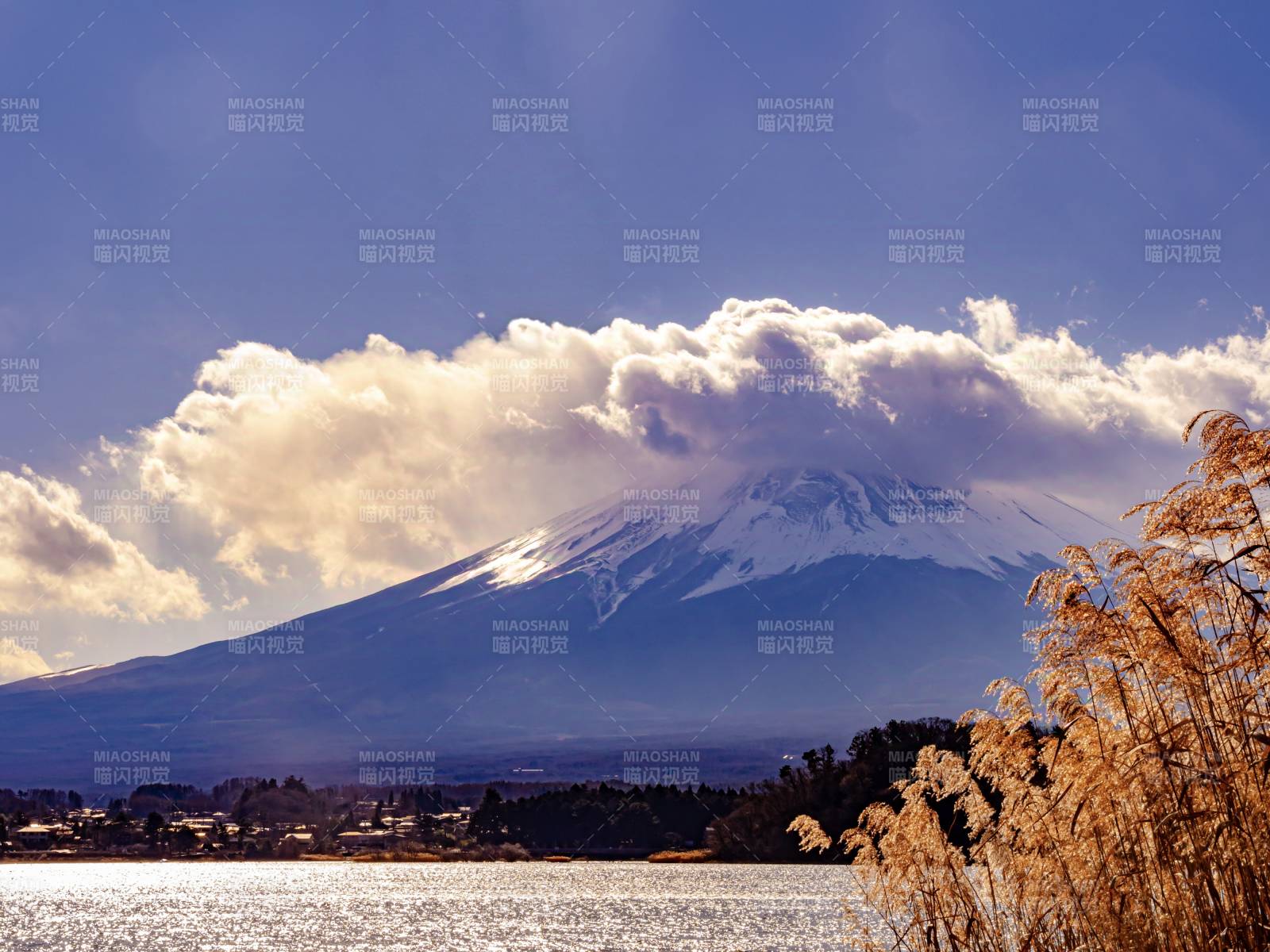 富士山湖畔美景