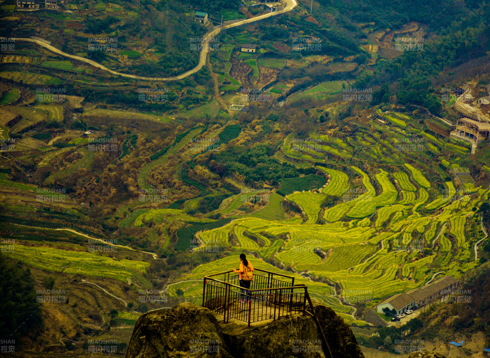 山巔俯瞰梯田美景