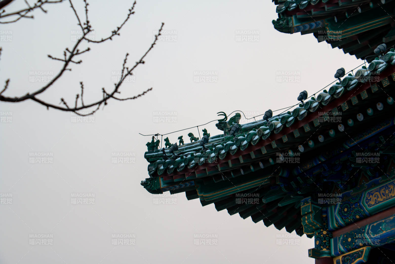 古建筑飛檐與樹枝剪影