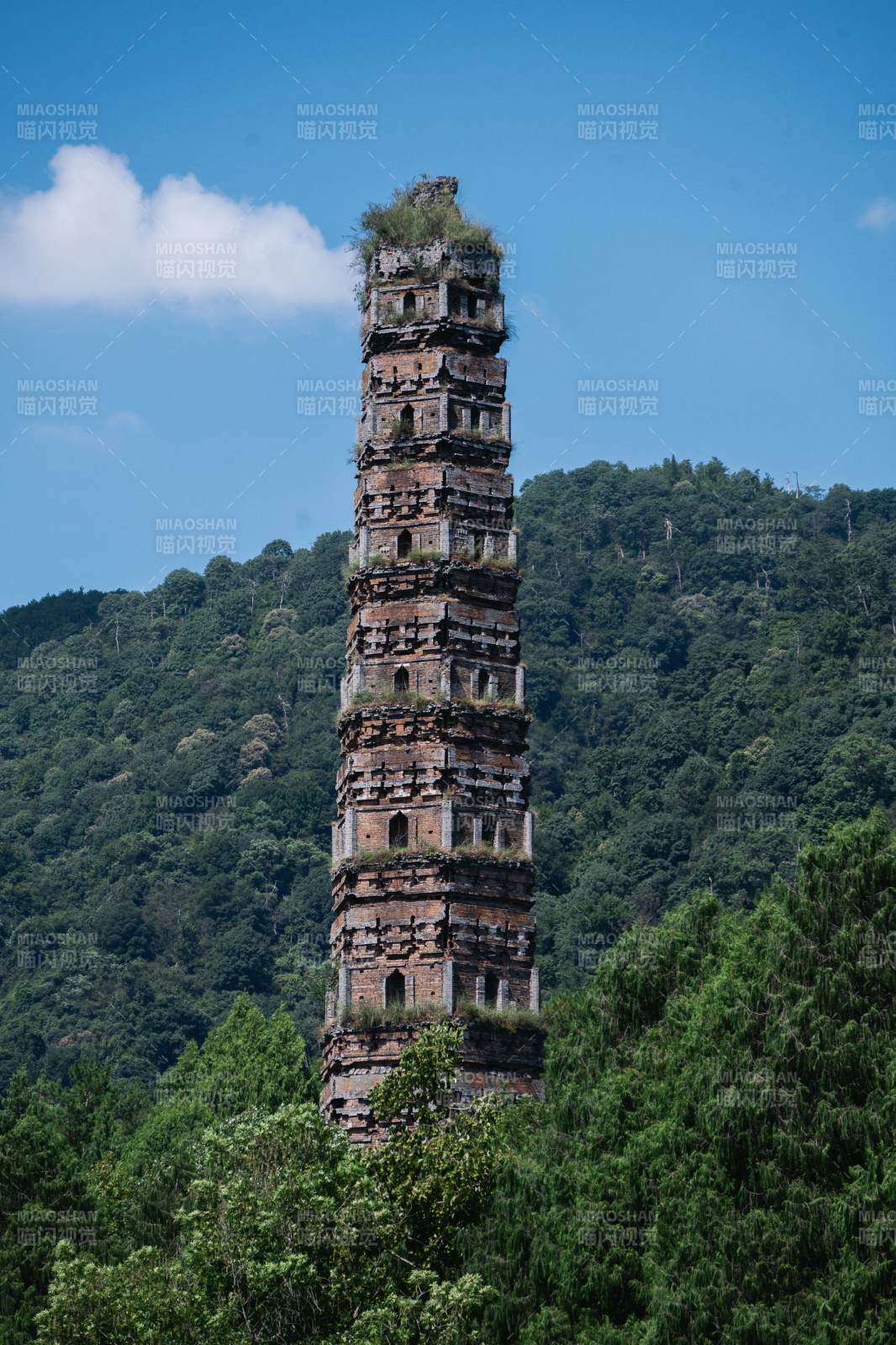 古塔屹立山間 綠樹環繞（隋塔）