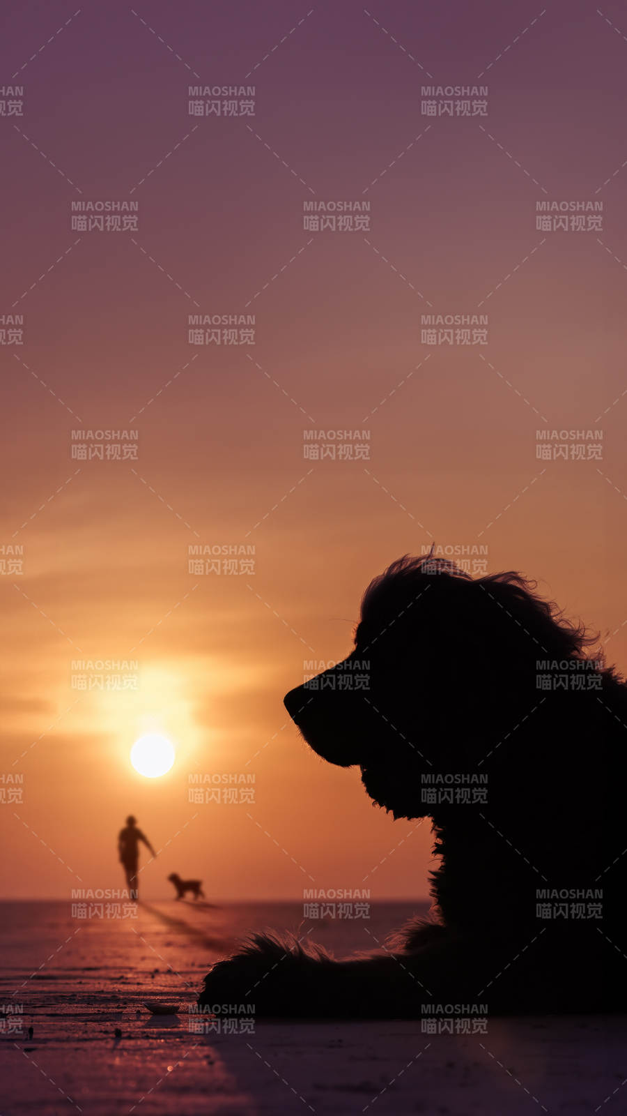 夕陽下的陪伴時光