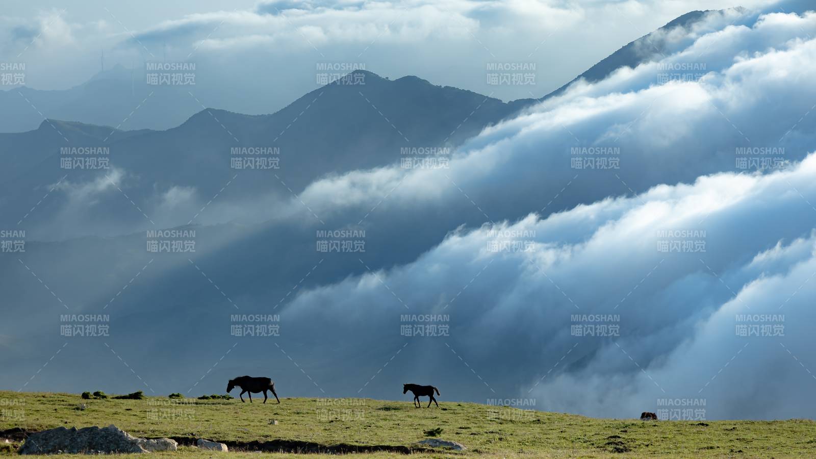 云霧繚繞 山間牧馬 東靈山