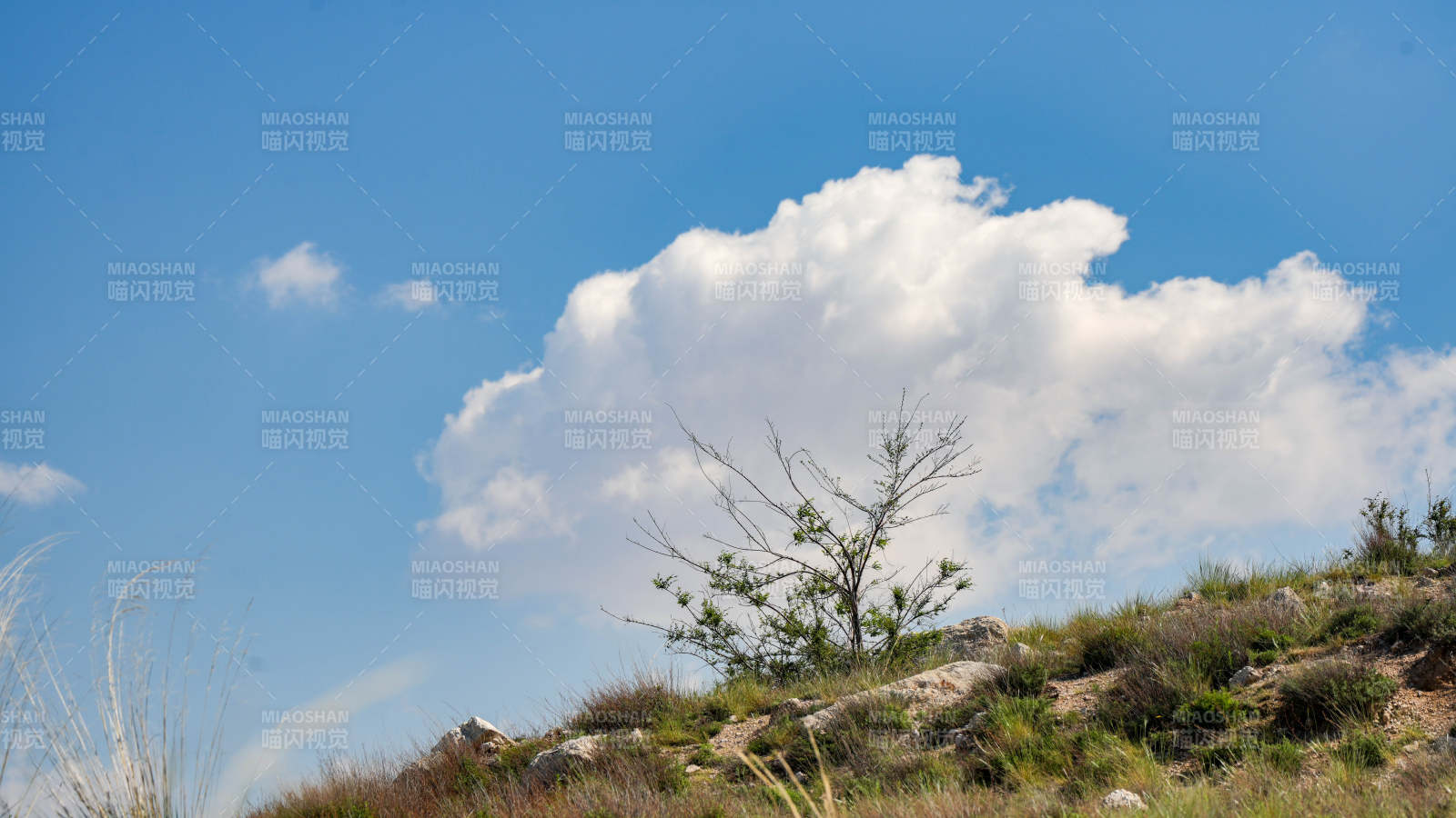 藍天白云下的山丘景色