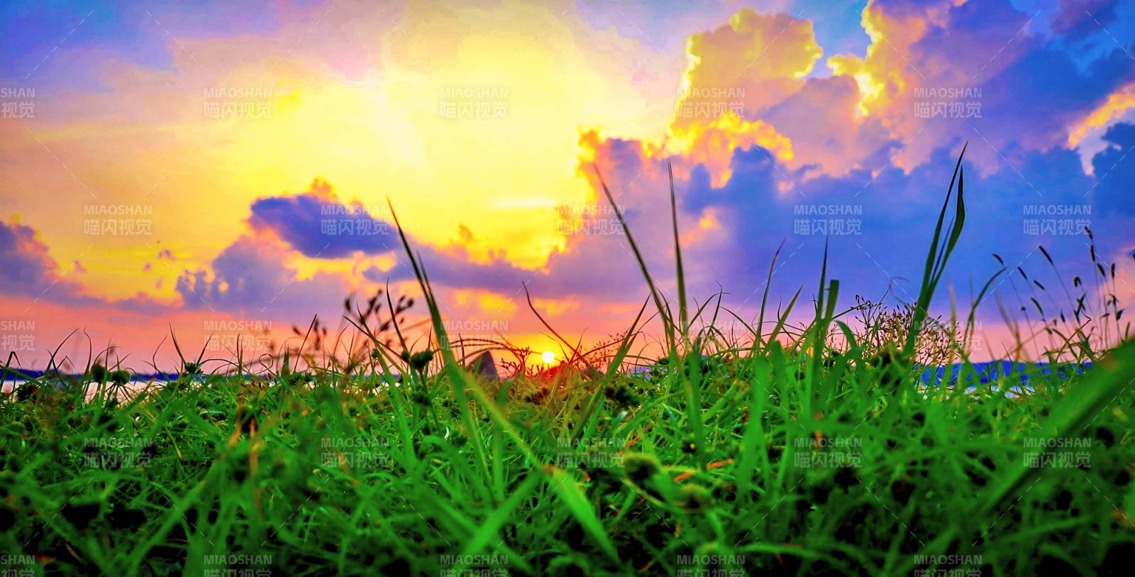 夕陽下的草地美景