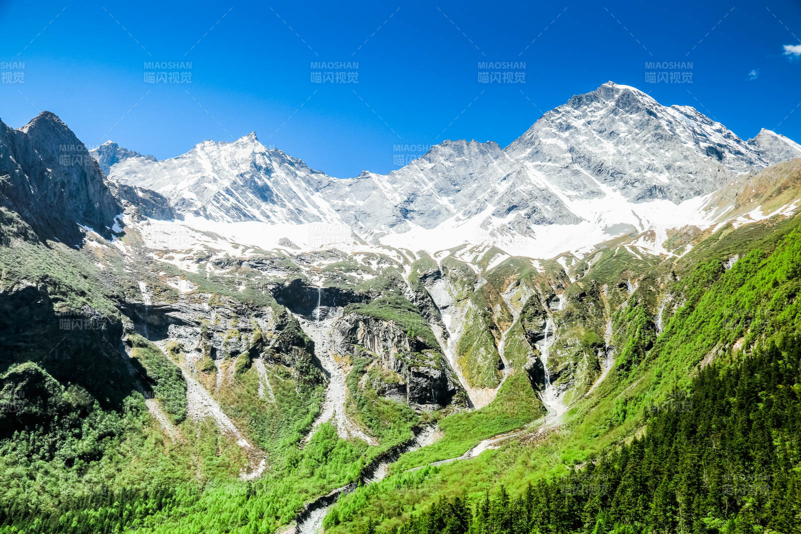 阿壩理小路雪山峽谷綠意盎然