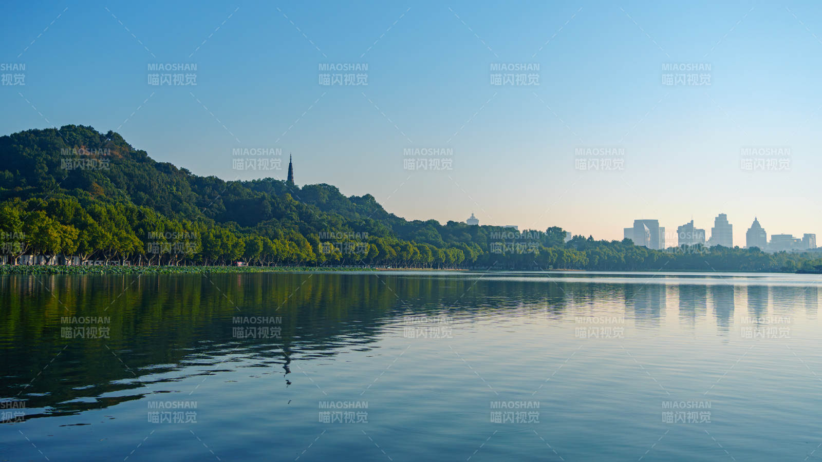 西湖晨景 靜謐如畫 孤山公園
