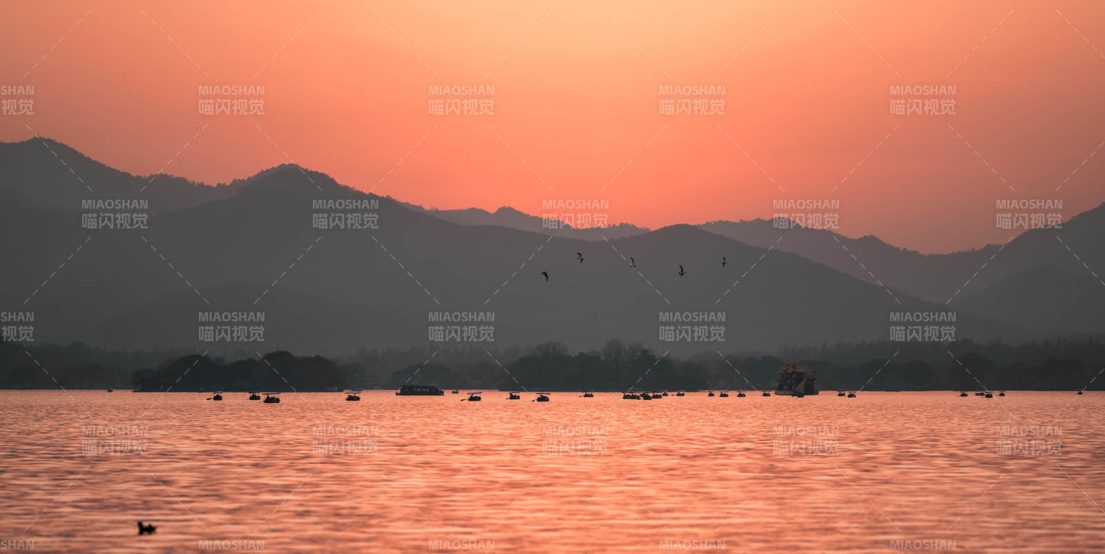 西湖夕陽 群鳥歸巢