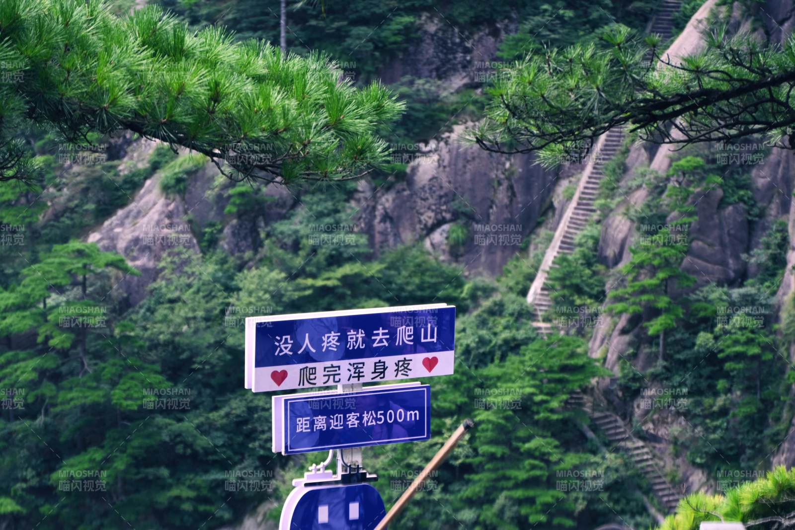 山間步道與幽默路標