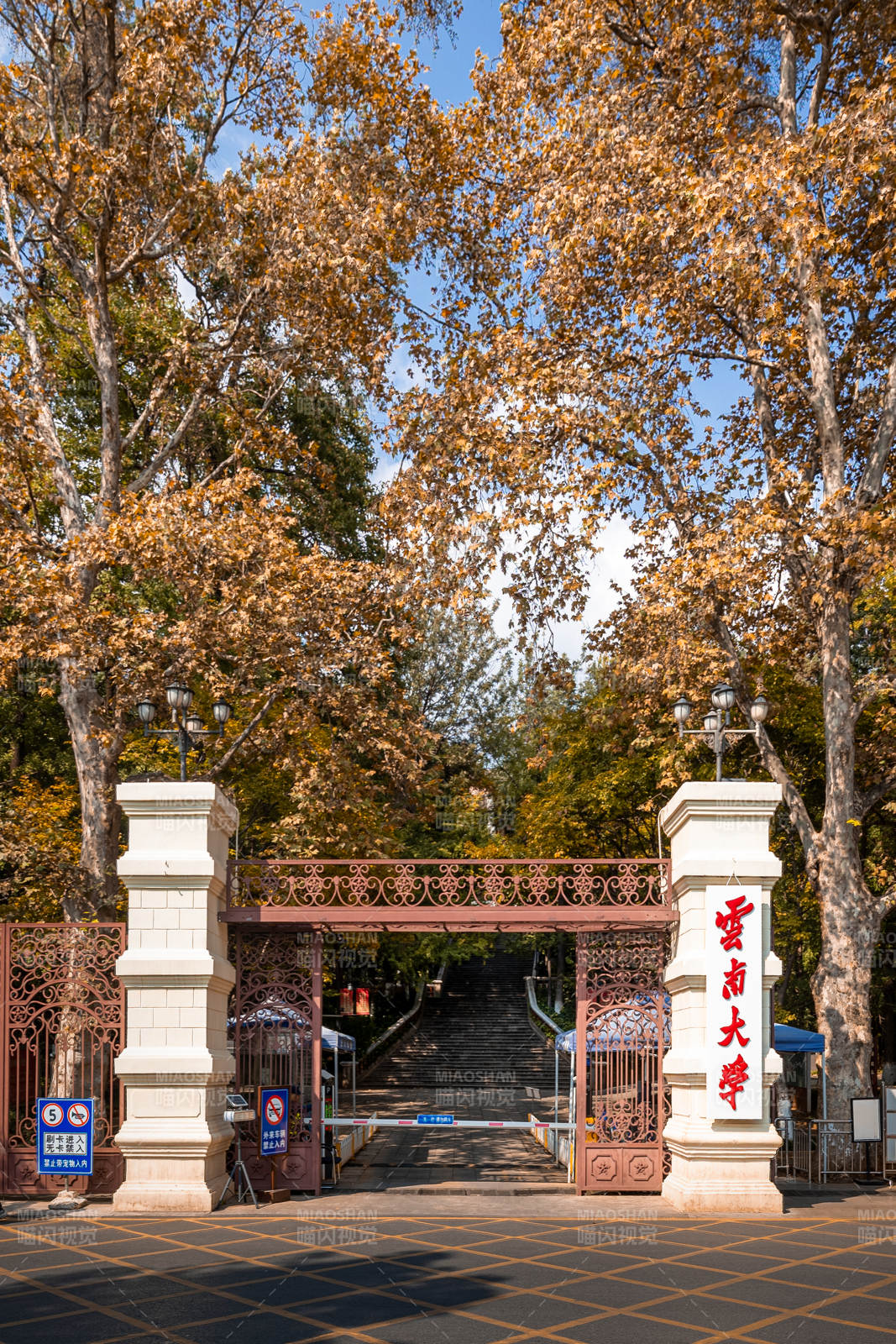 云南大學校門秋景圖