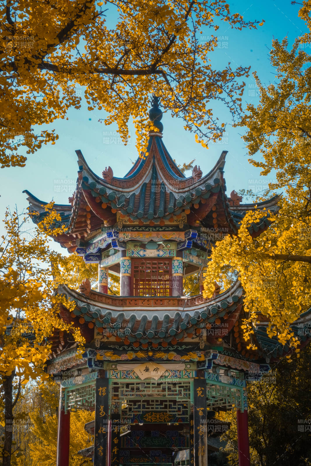 翠湖公園秋色古亭 金葉環(huán)繞