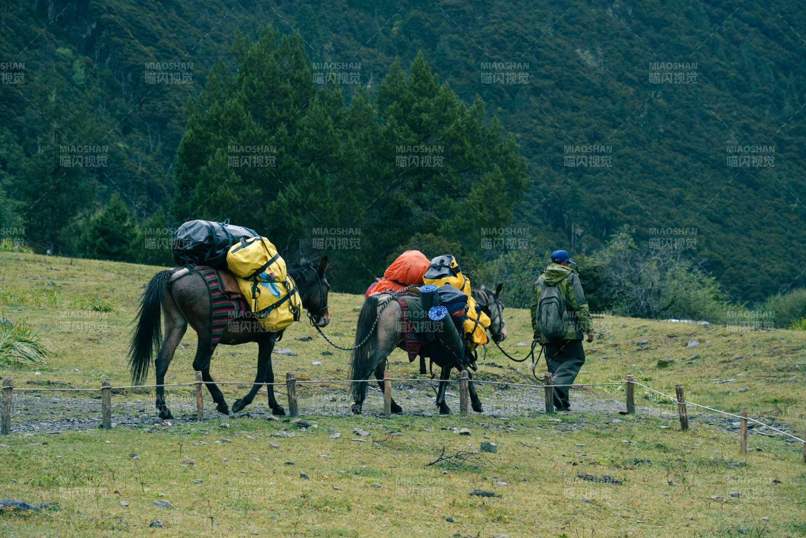 山間馱馬行 旅人相伴行
