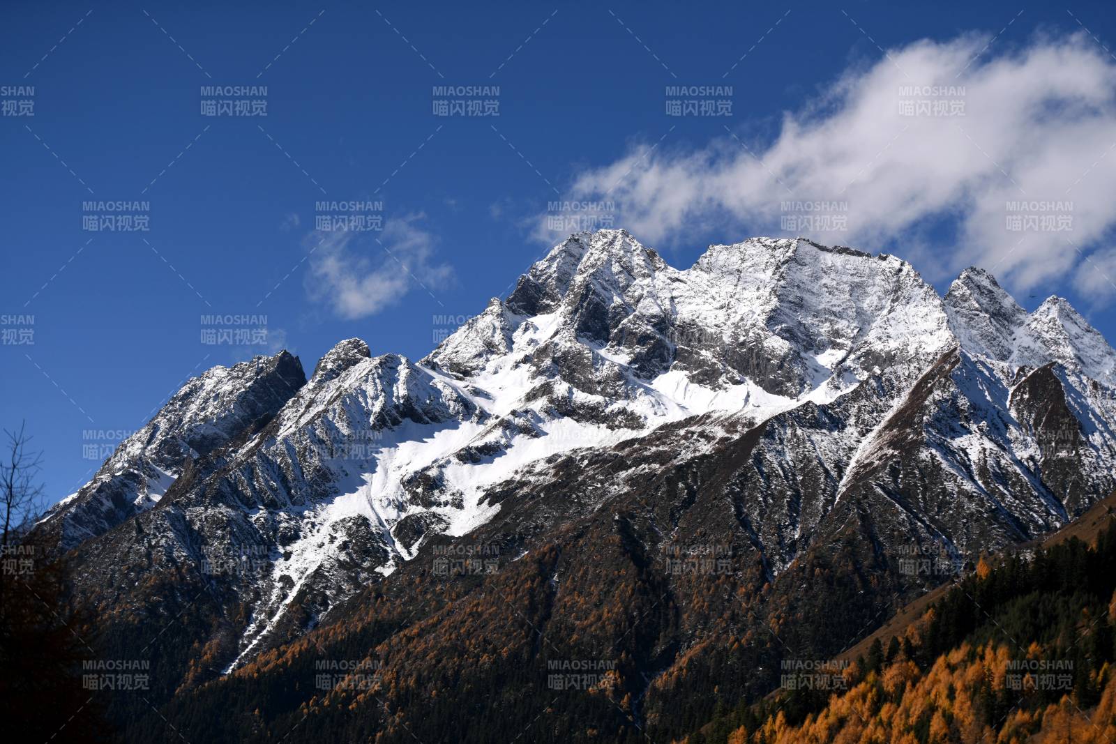 四川四姑娘山雪山秋色 藍天映襯
