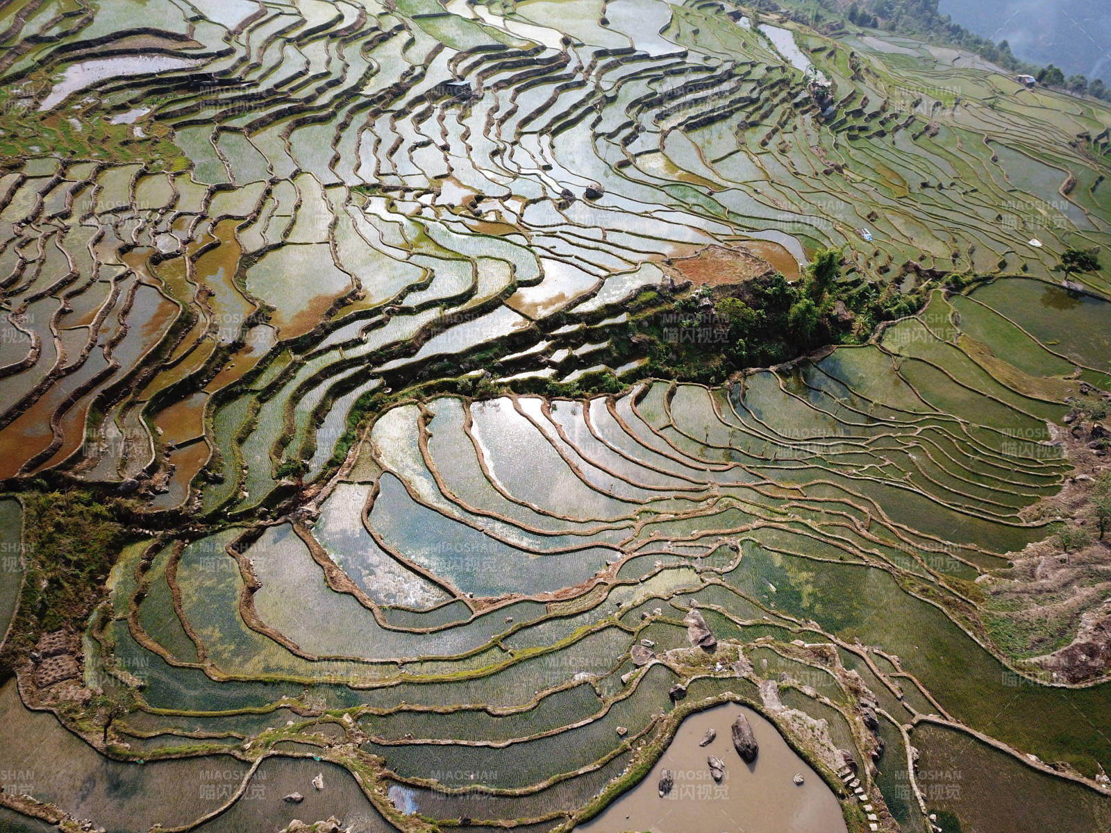 梯田水鏡映山色