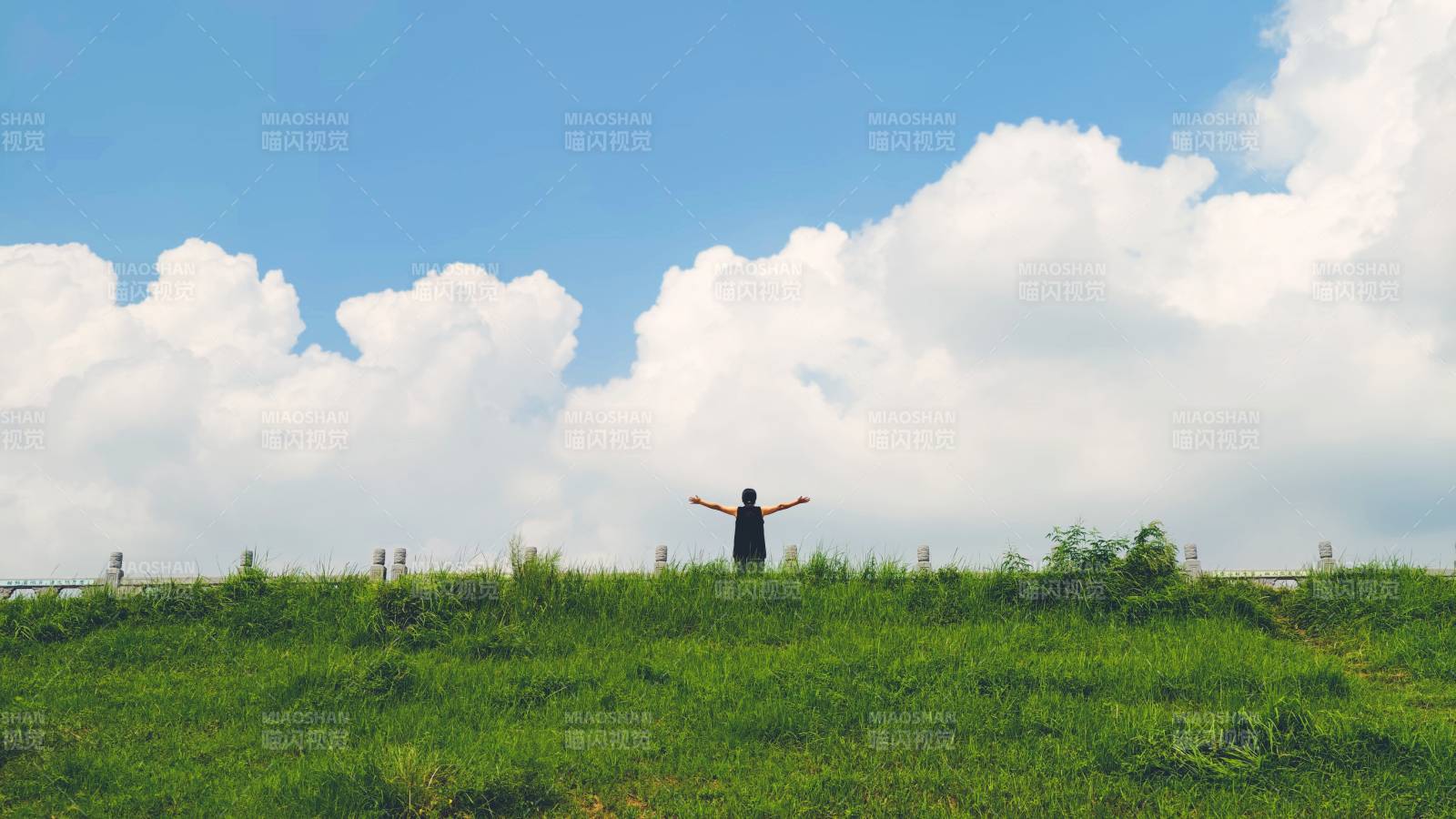 自由之魂 擁抱藍天綠地