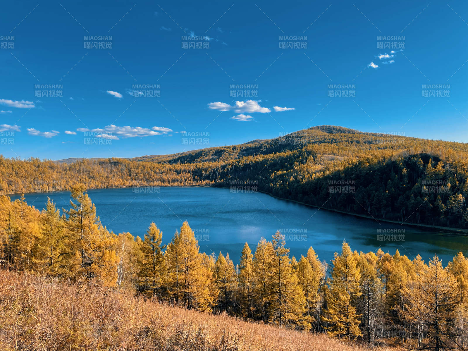阿爾山天池金林美景