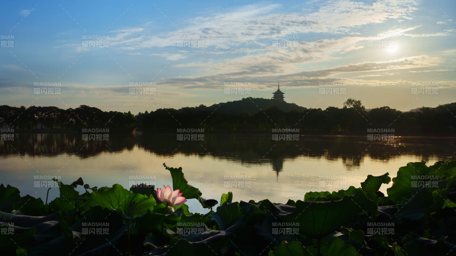 西湖畔蓮花雷峰塔晨曦