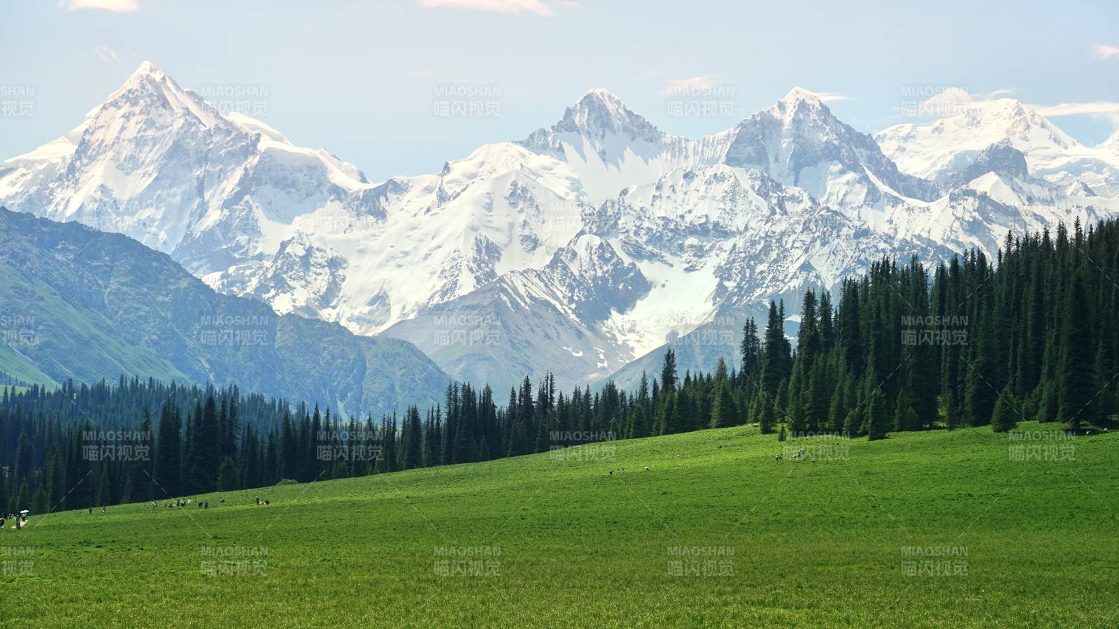 雪山下的綠野松林