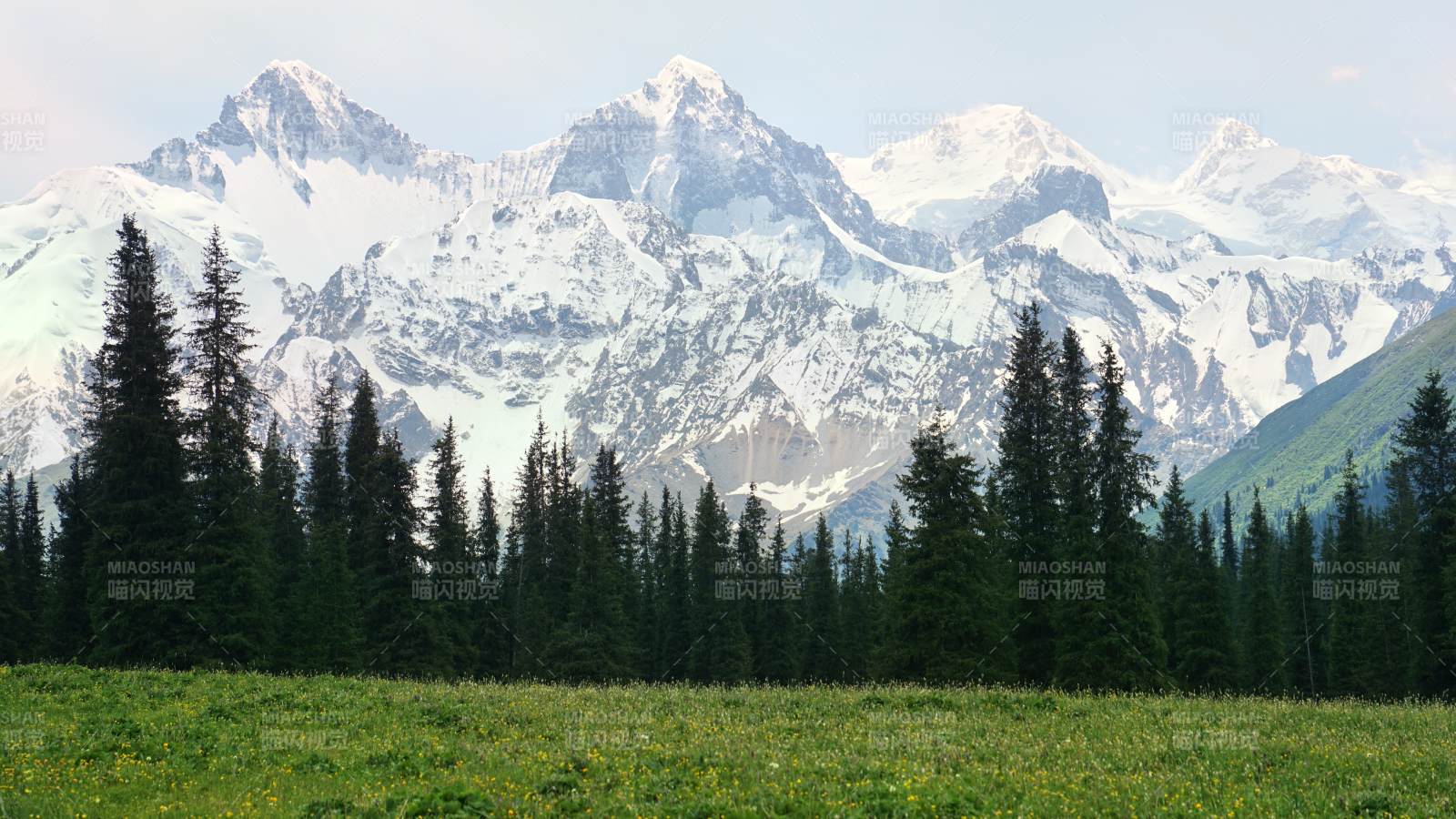 夏塔? 雪山與森林的寧靜美景