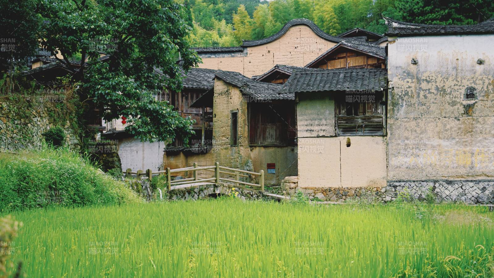鄉(xiāng)村古宅與稻田風(fēng)光