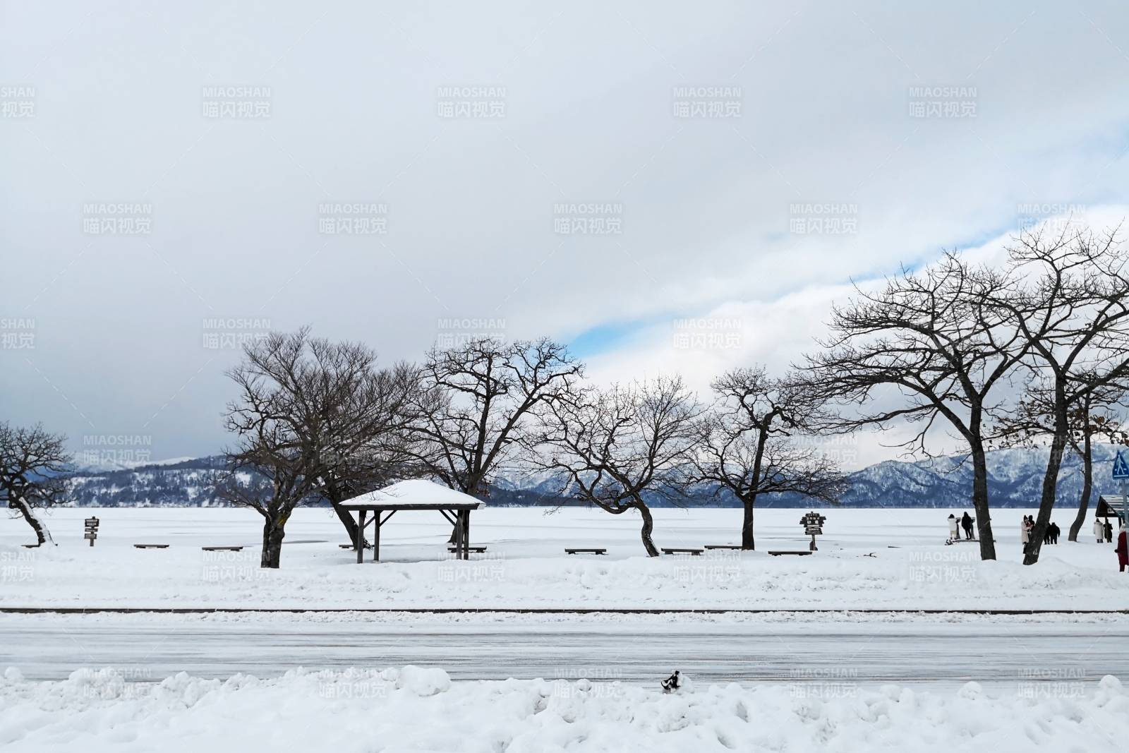 日本北海道冬日雪景 靜謐湖畔