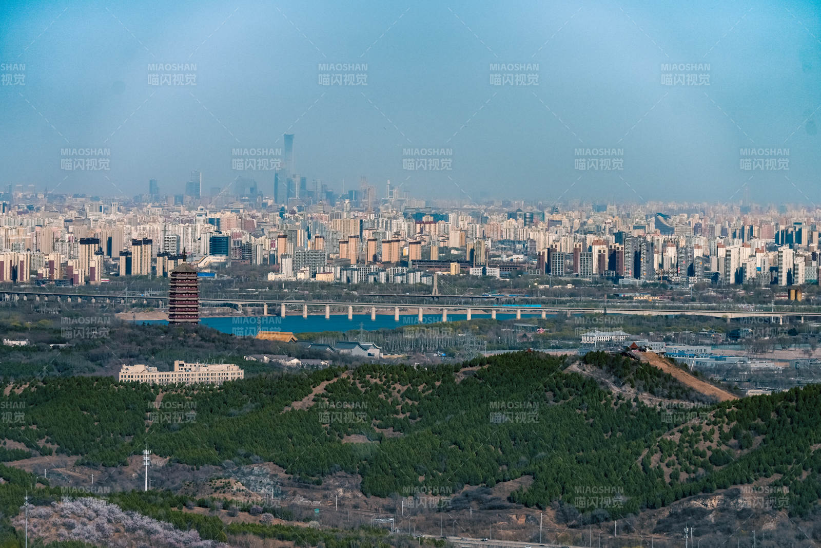 城市遠景與綠樹相映