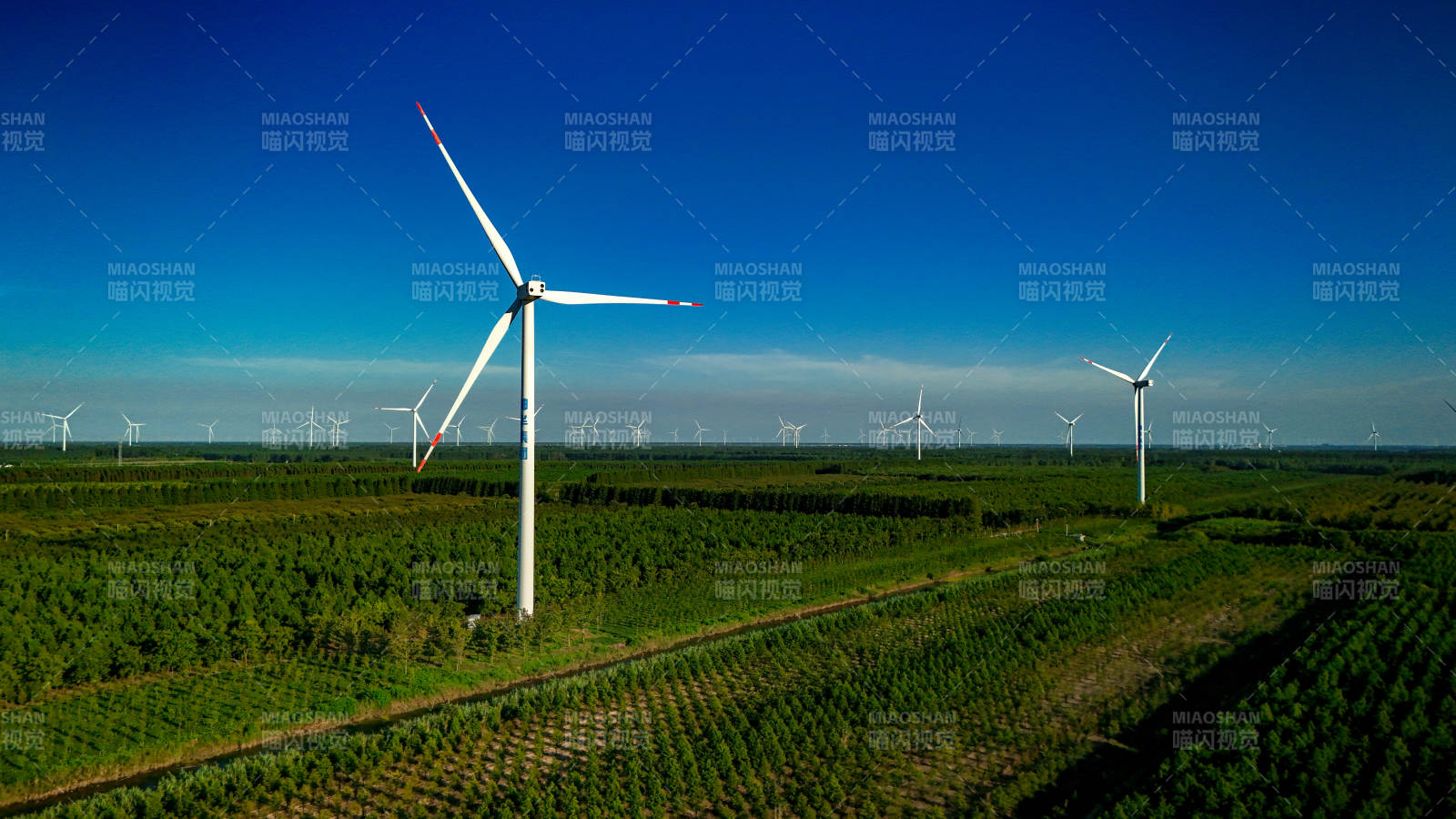 風力發電場的綠色能源