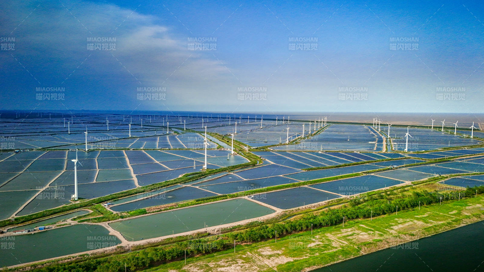 海上風電與養殖結合示意圖