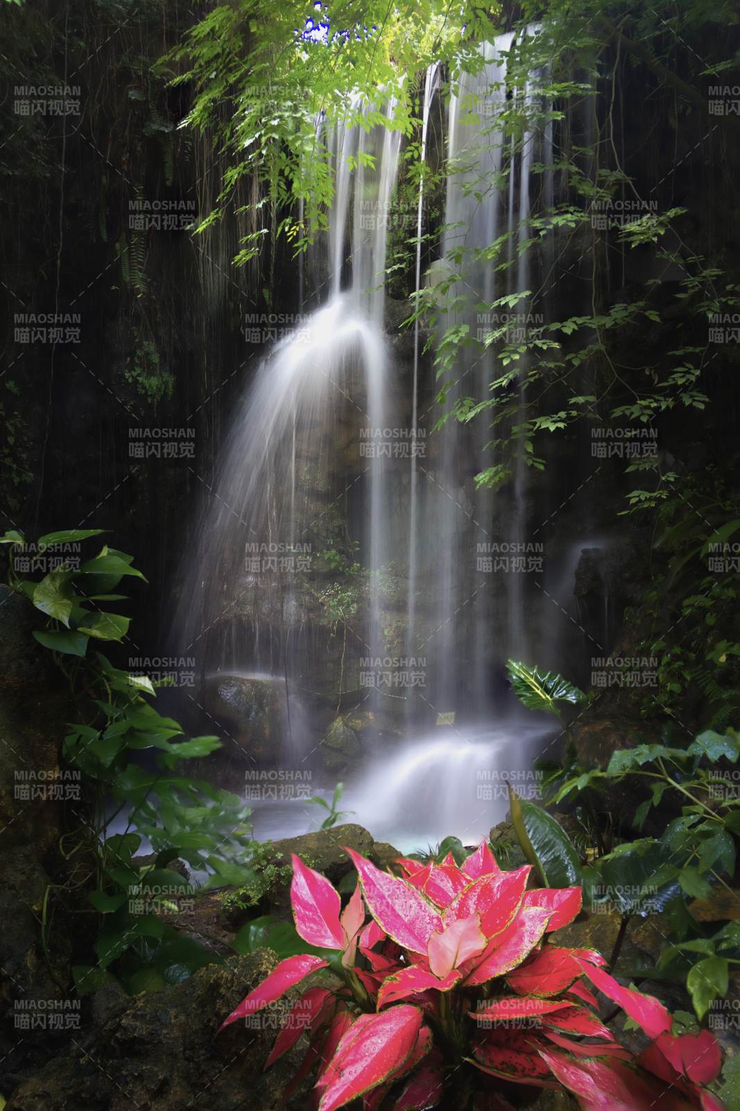 熱帶雨林瀑布美景