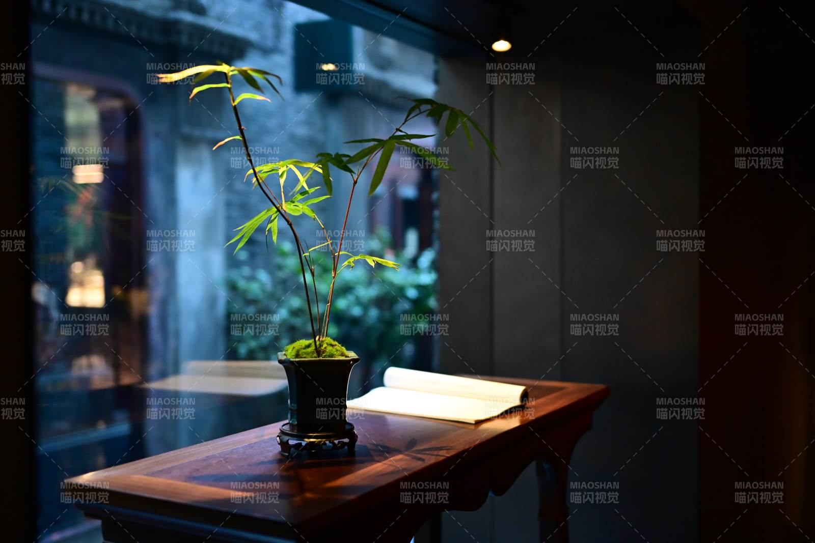 窗邊綠植與古卷相映成趣