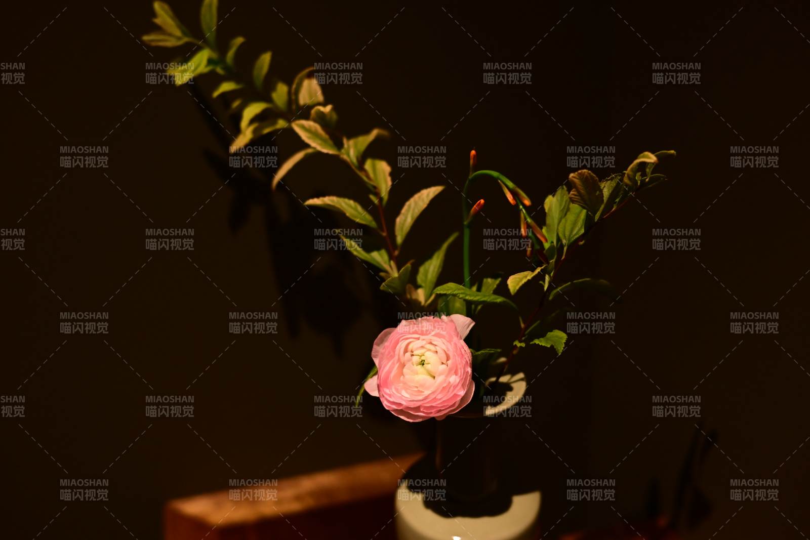 靜謐花影 柔光相伴