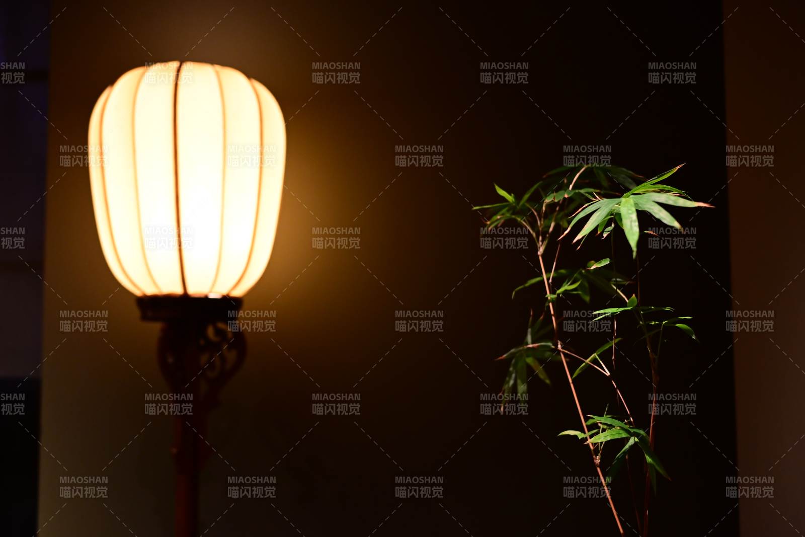 暖光燈下的綠植影子