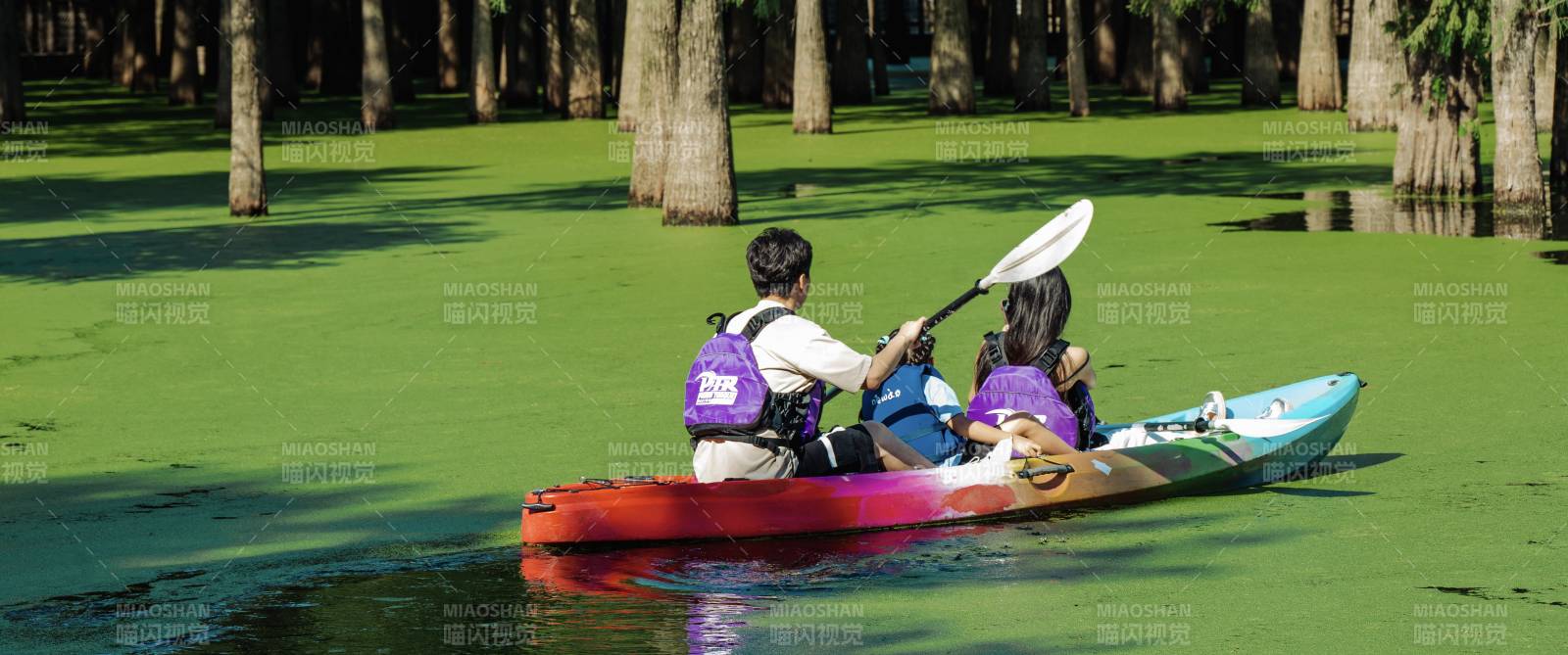 湖上雙人劃槳 綠意盎然——青山湖水上森林