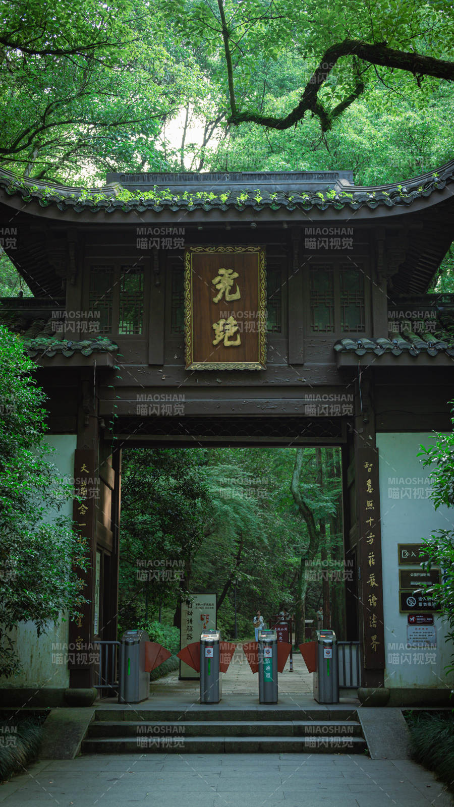 古寺幽徑 綠樹成蔭——虎跑