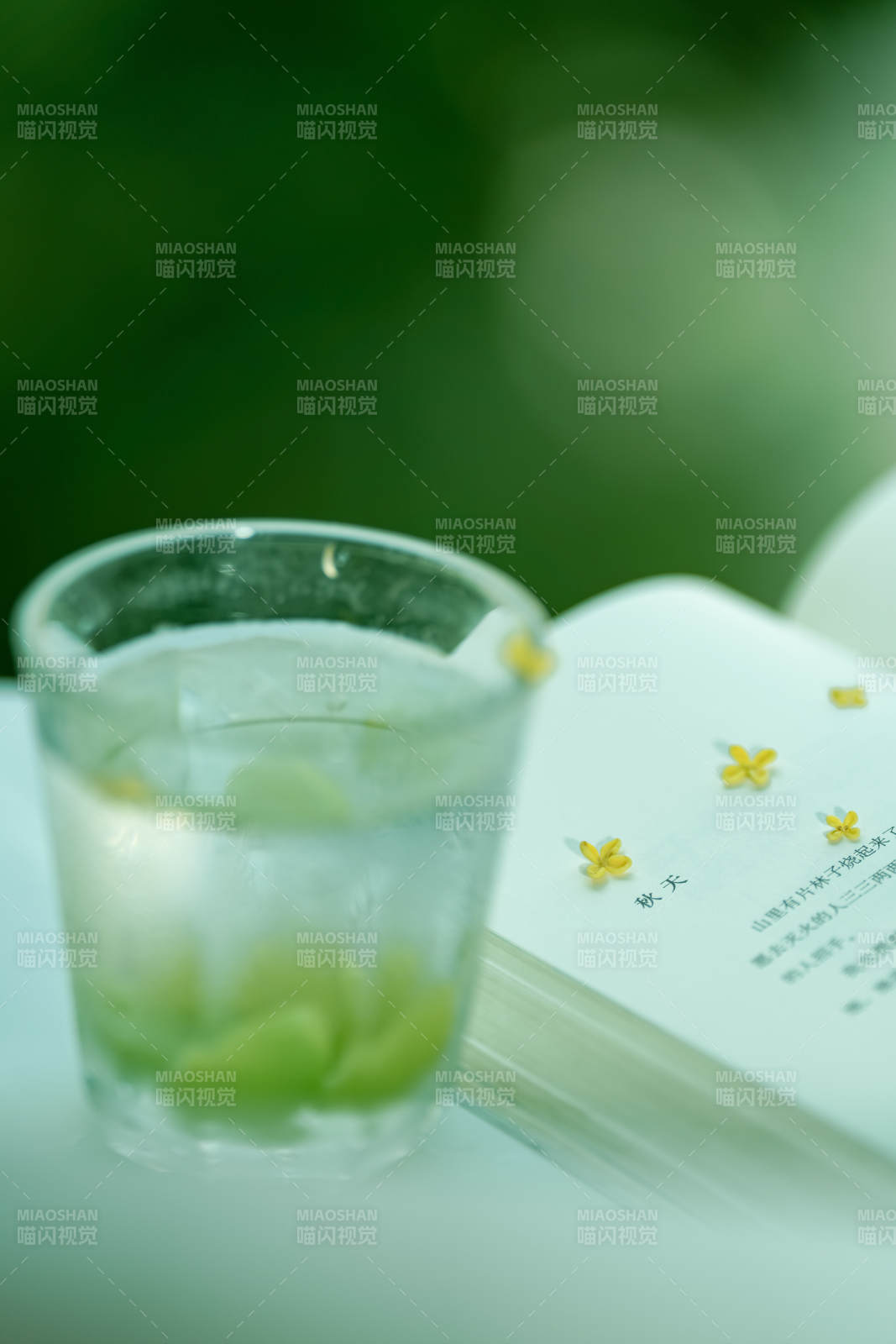 綠意盎然 書香伴茶