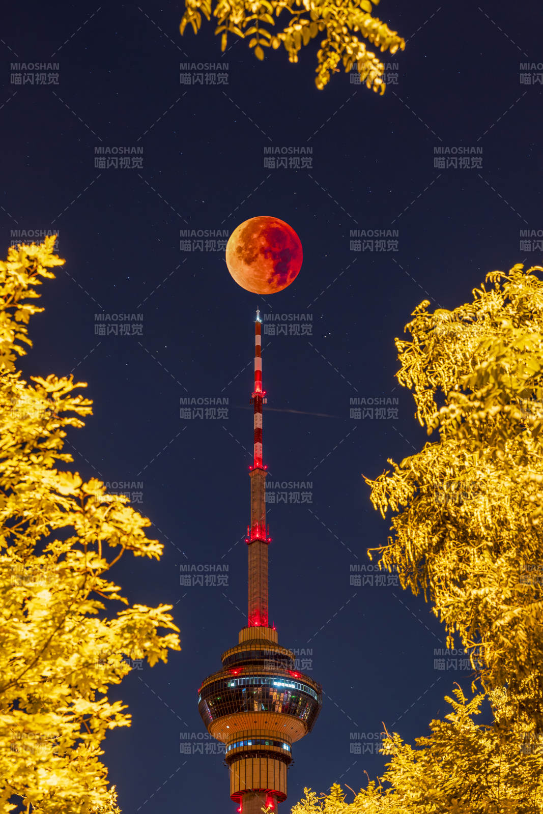 塔尖上的血月夜景