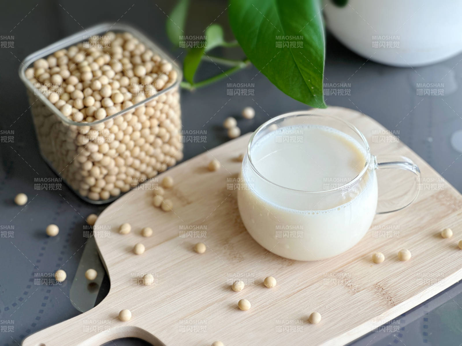 豆漿與大豆的完美結合