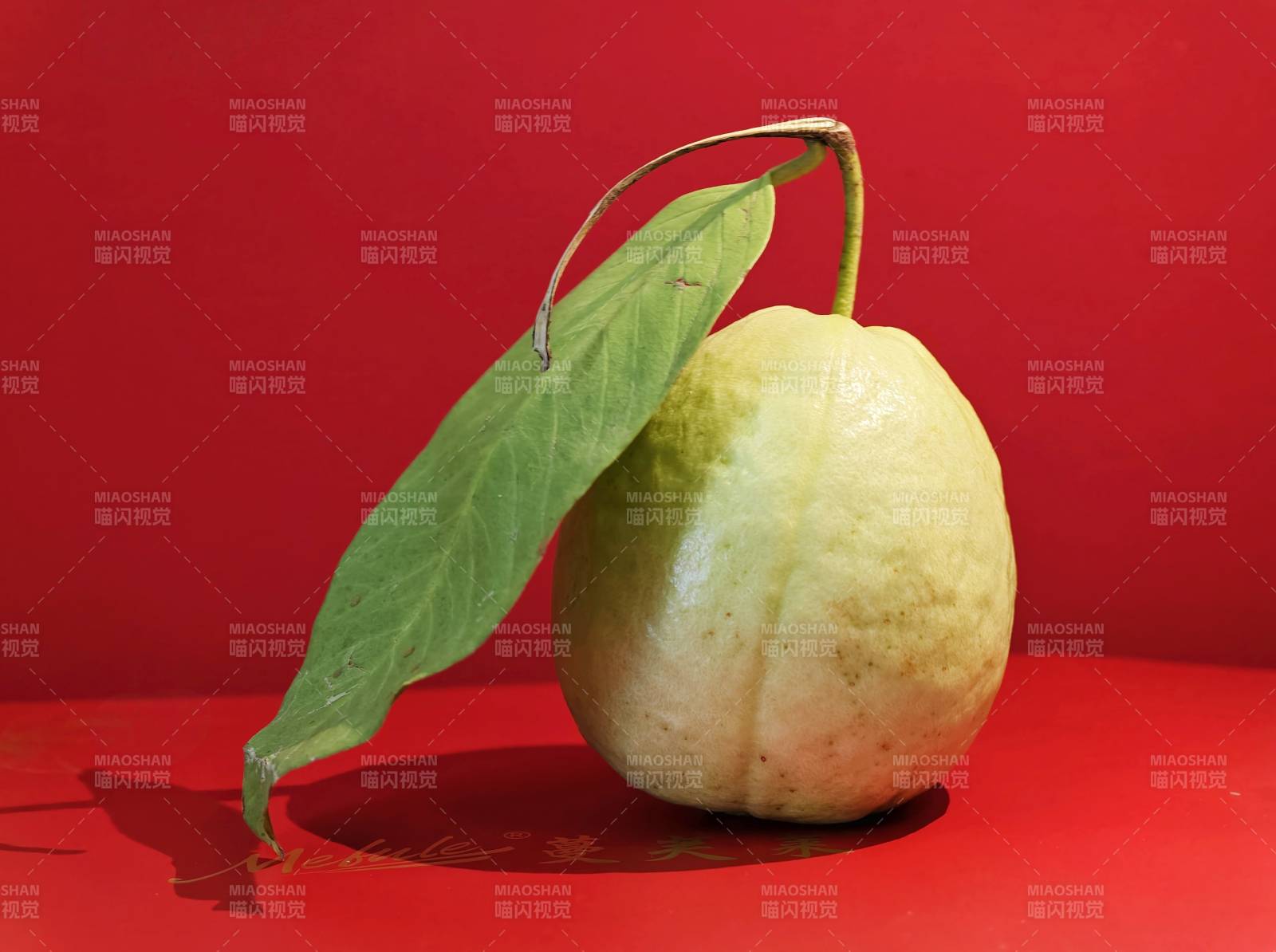 鮮甜芭樂番石榴