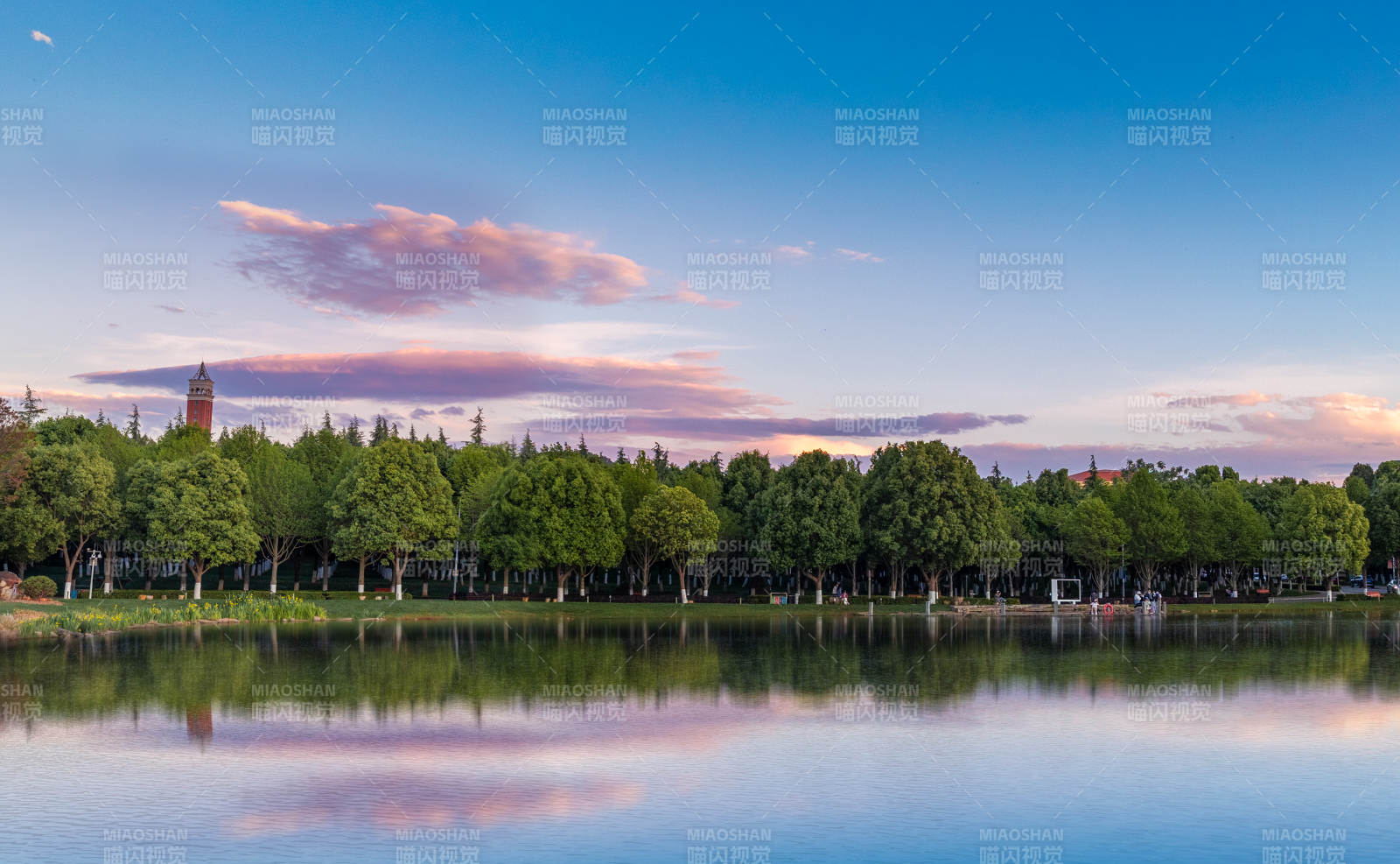 云南大學澤湖夕陽 樹影婆娑