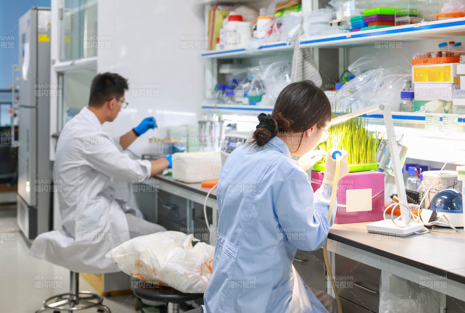 實驗室科研人員工作場景