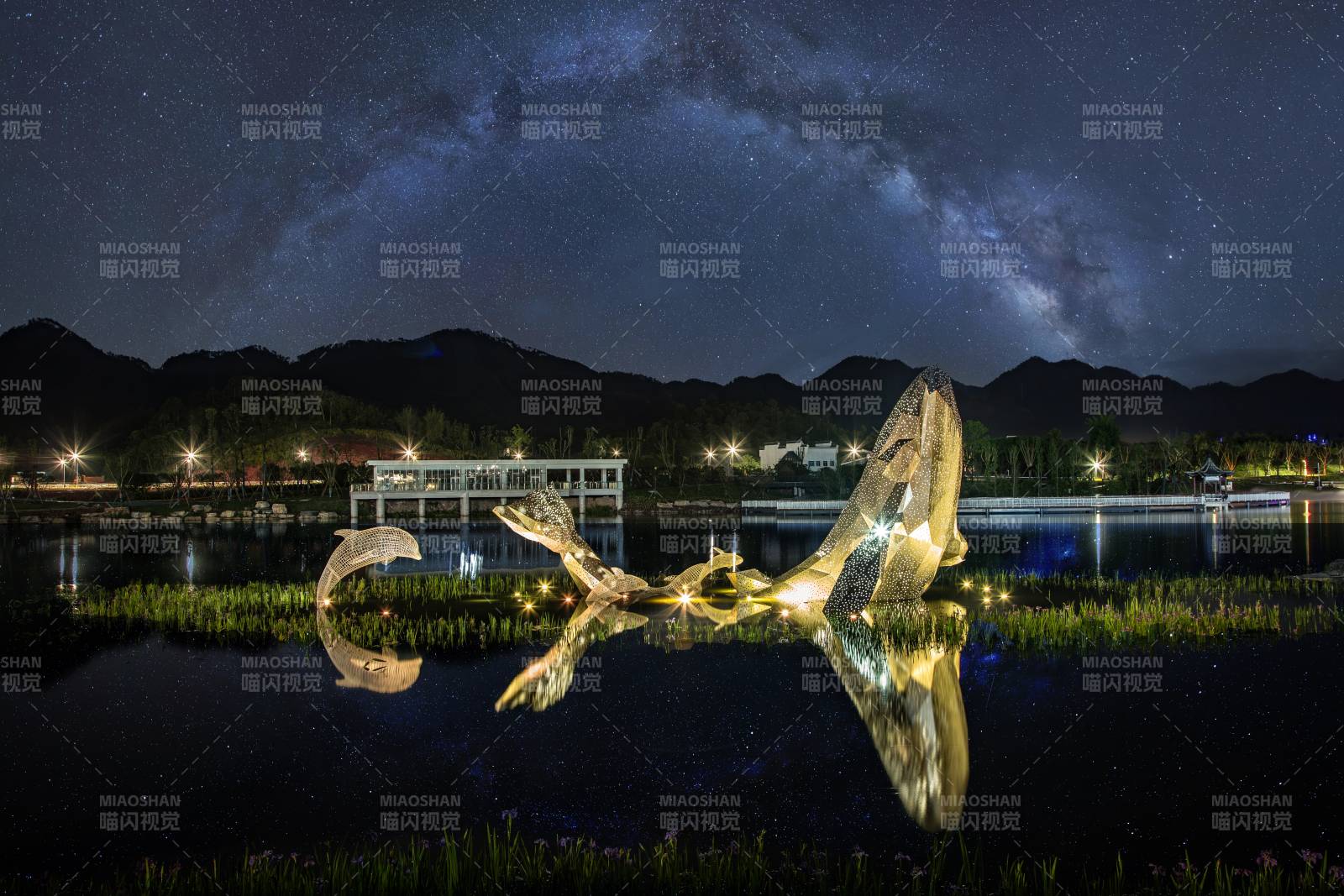 星河下的鯨魚雕塑夜景